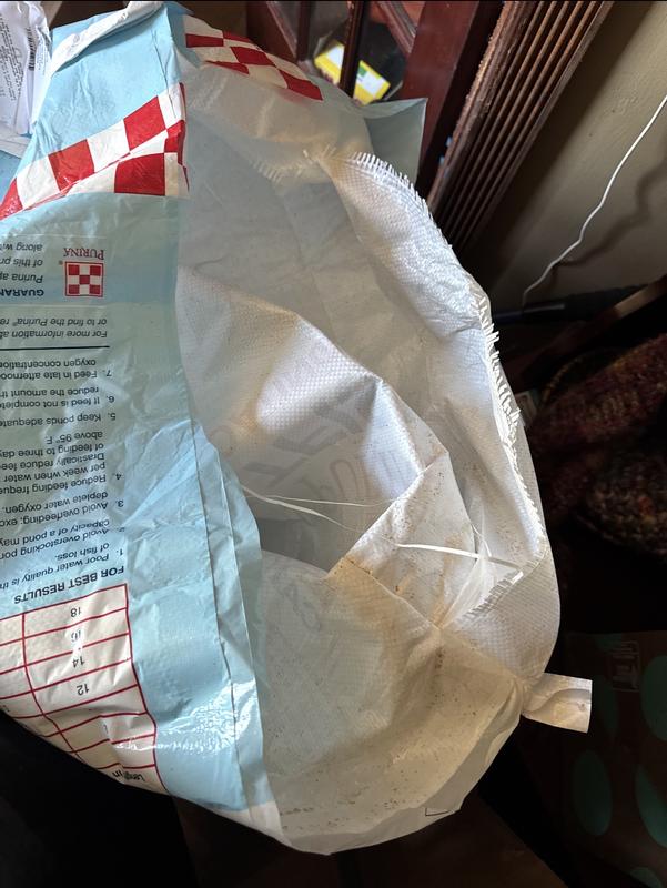Review photo 1.