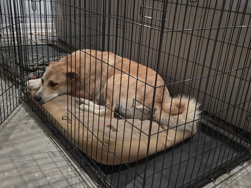 Plenty of room (need a bigger bed)