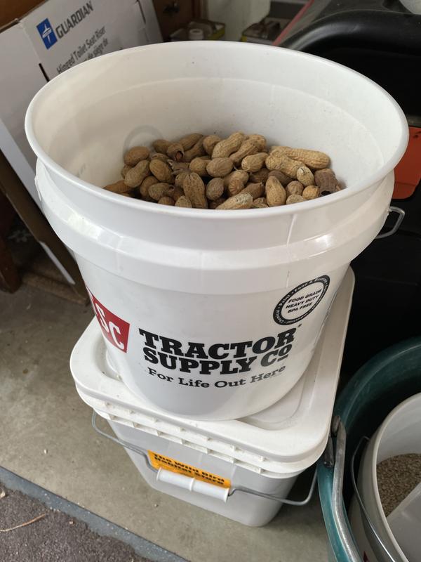 The cost was peanuts.