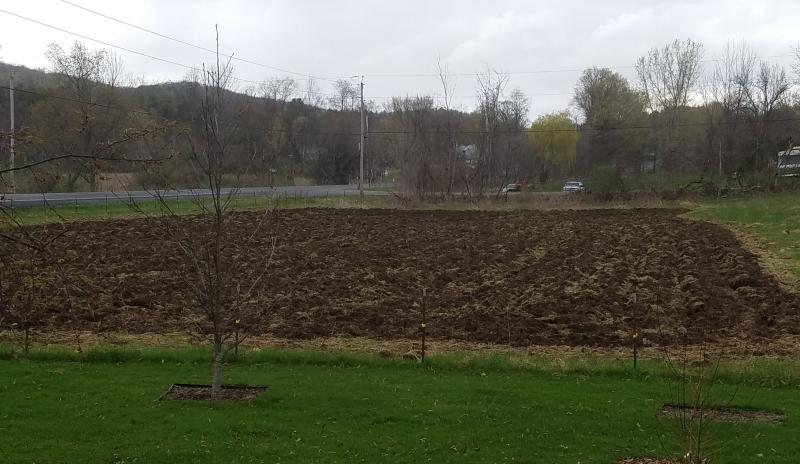 My rocky field nicely turned over.