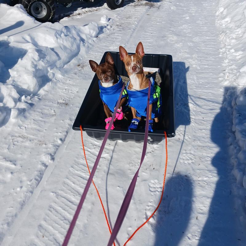 Trial run around the neighborhood