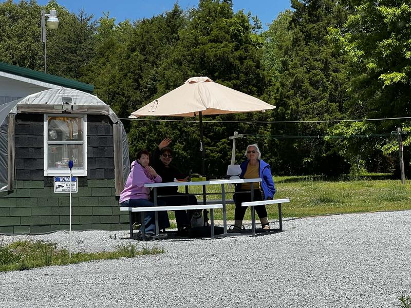 The new outdoor hang out!