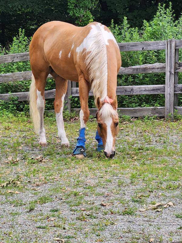 Jayke, living his best life..