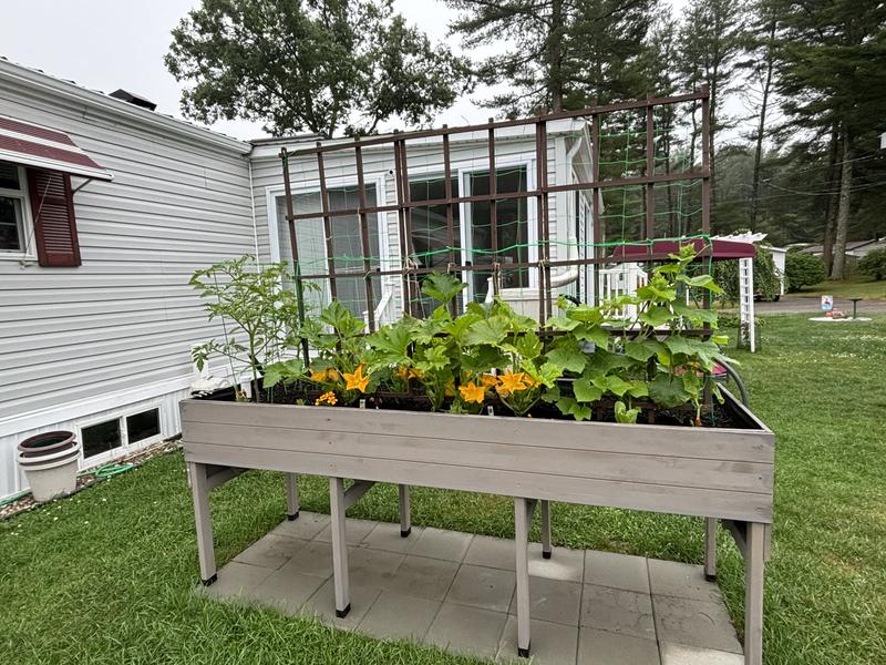 We added trellis and netting to support vertical gardening.