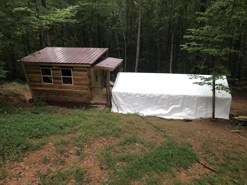 Covered chicken run 20ftx10ft