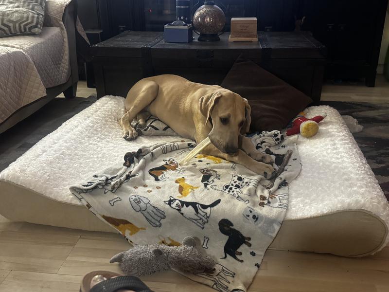 He loves it !