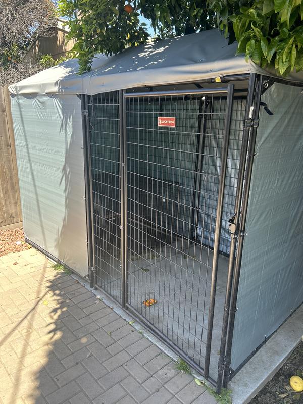 Used on a “lucky dog” kennel