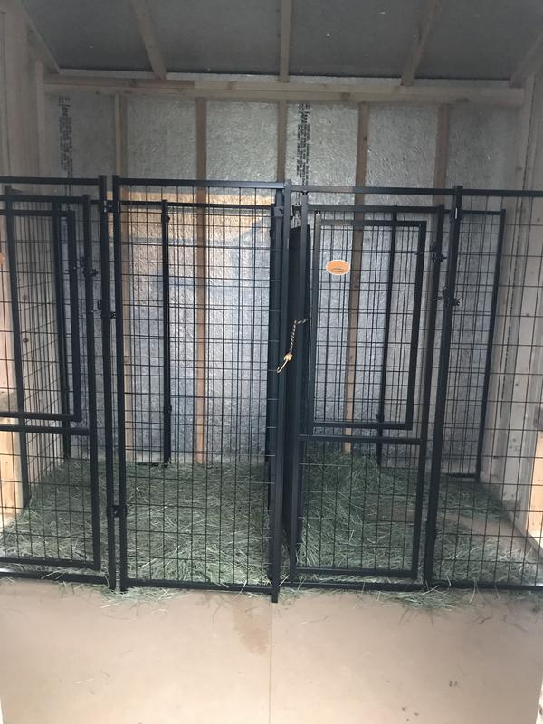 Indoor kennel