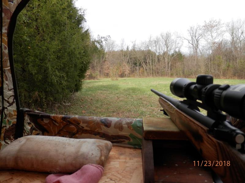 Out of my blind