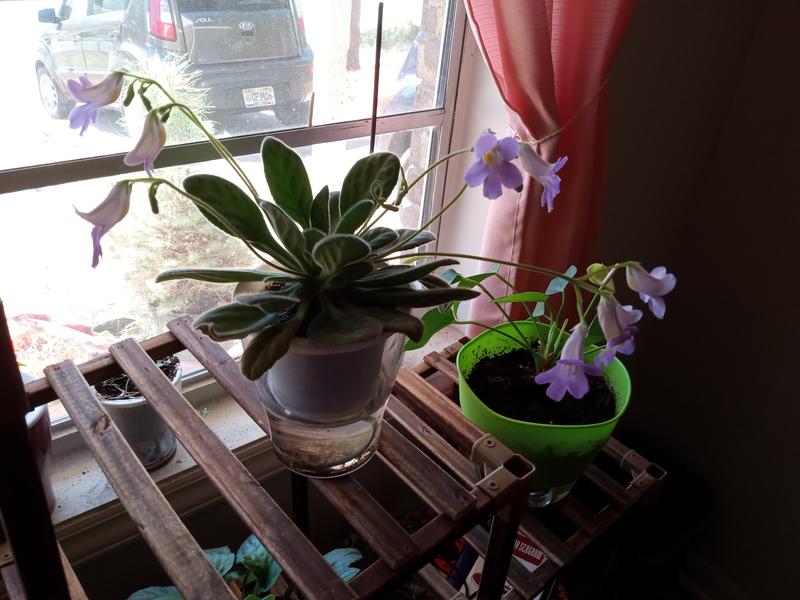 Review photo 5.