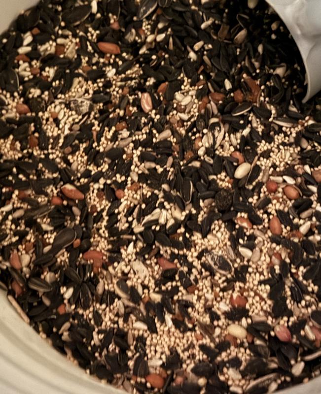 Not a piece of fruit to be found.