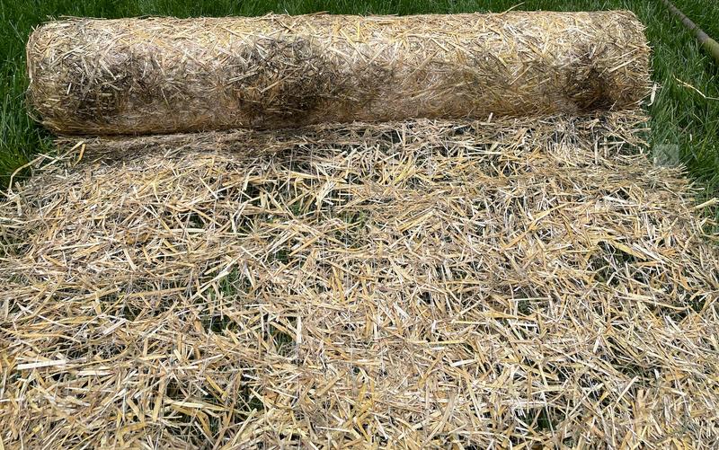 lots of gaps and moldy