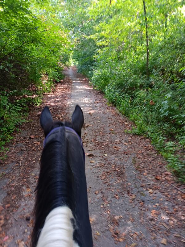 Trails, no worries of dehydration