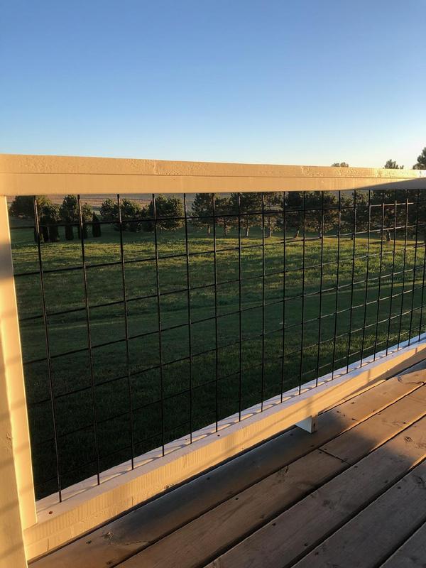 Deck railing.  Painted black.