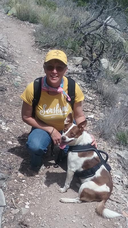 My hiking buddy, Rosie can go all day now!