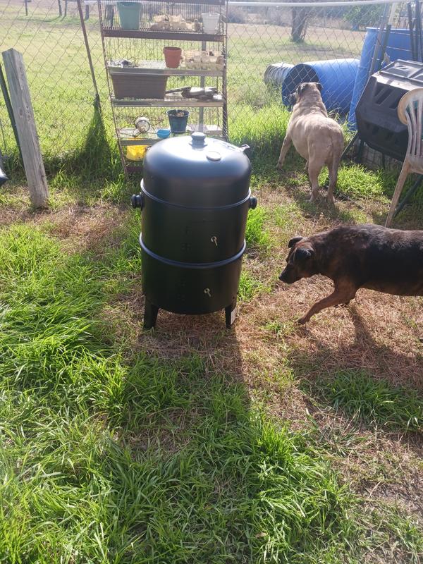 Waiting for the meat.