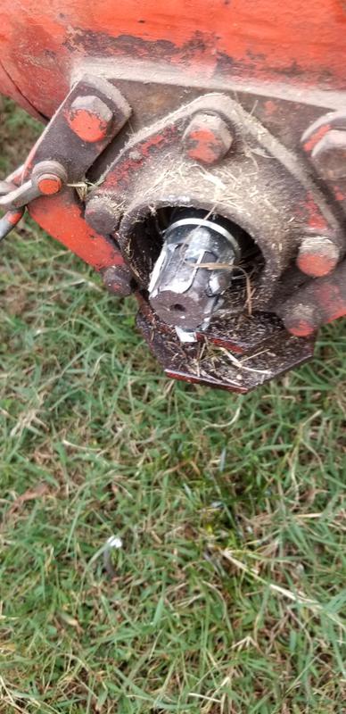 Fun begins when getting it back off