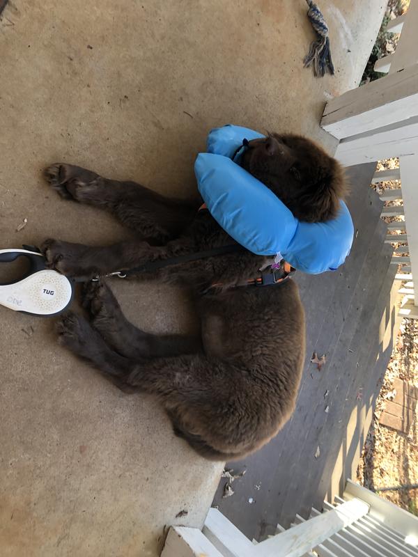 Nice pillow for nap time