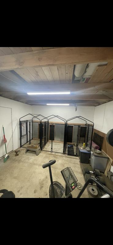 Photo before dog doors installed