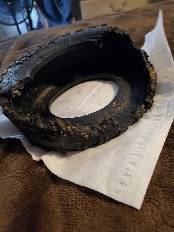 9 months old tire destroyer