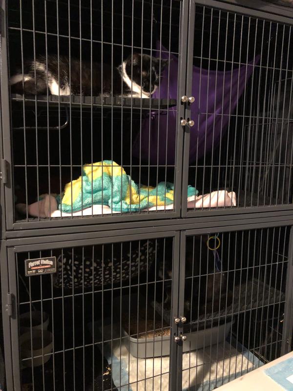 Using as one full cage