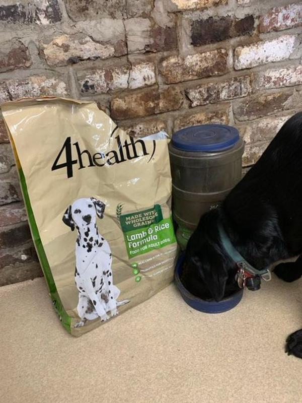 4health lamb and rice dog food reviews best sale