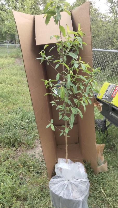 Right out of the box!