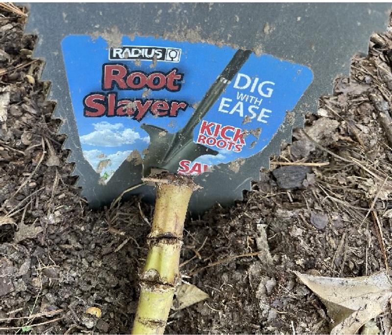 One down swipe w/RootSlayer