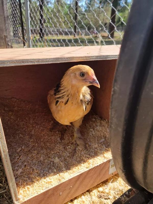 Loving the new duplex