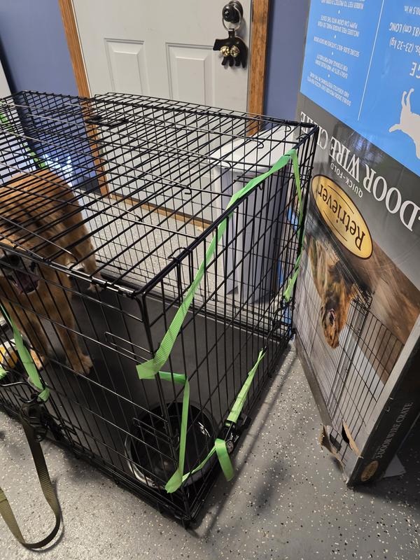 She may have chewed the ratchet straps...