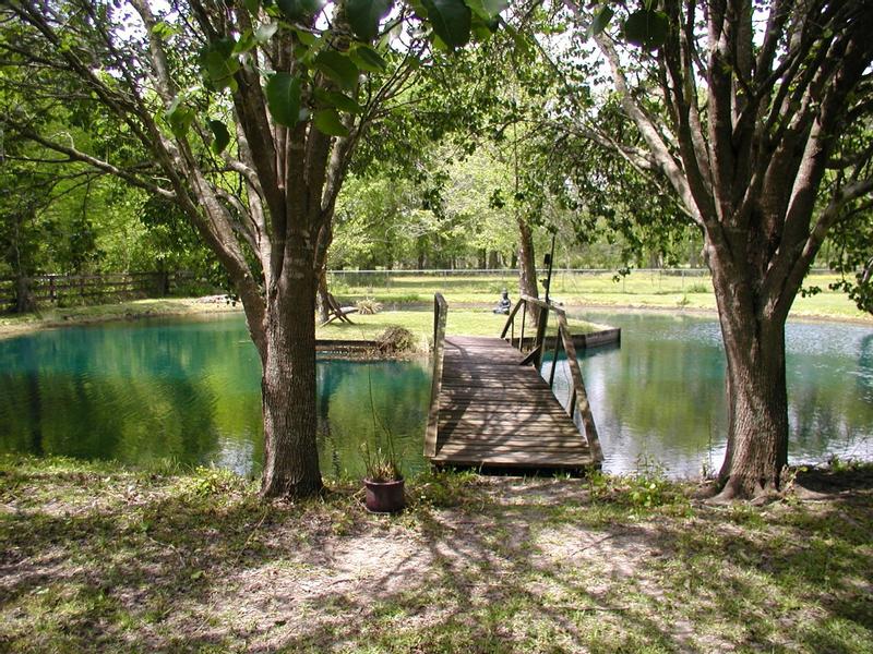 Pond