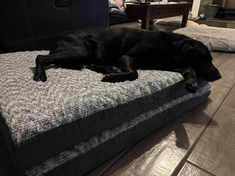 The girls trying out their new RV beds. Come on, Mom, let’s go to the lake!