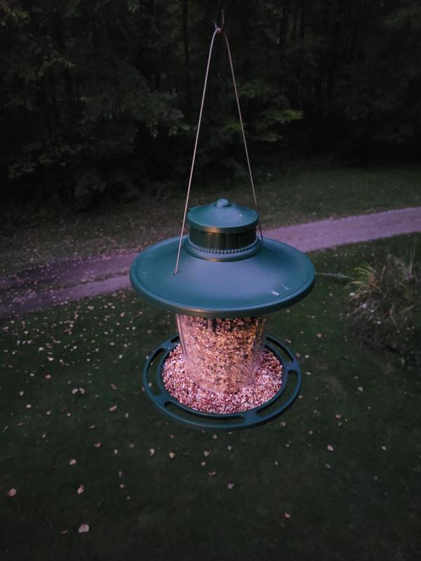 Survived (no mold) after several storms.