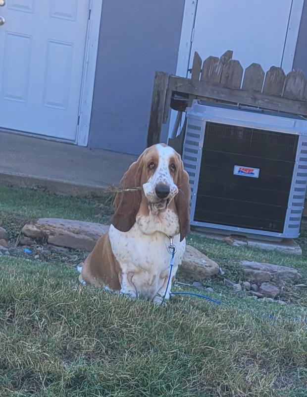 Sophie