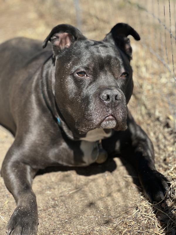 Review photo 1.