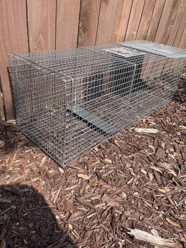 New large, ineffective trap