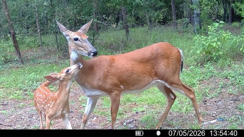 Mom and baby