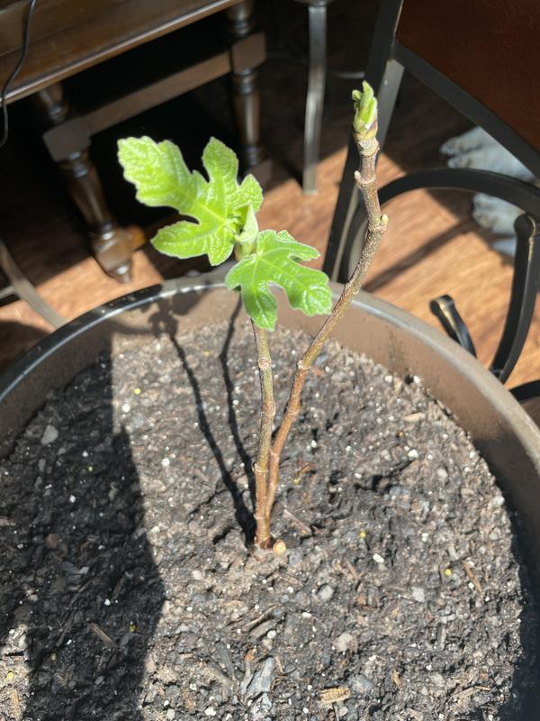 Review photo 3.