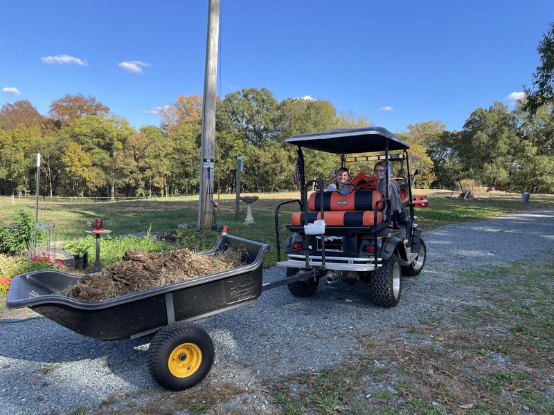 Cart full of cow manure!