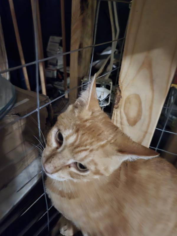 Thus pne had it so bad on his face.