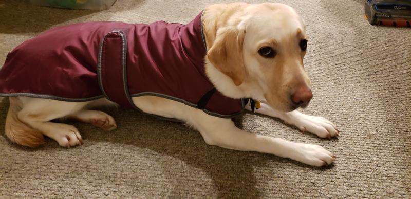 Different position with coat on