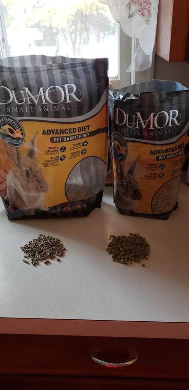 Comparison picture (01)