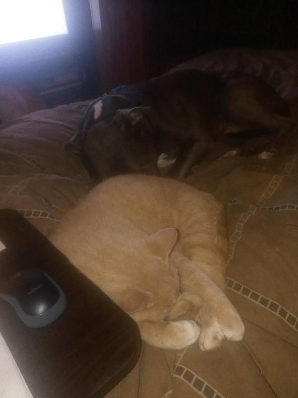 Review photo 1.