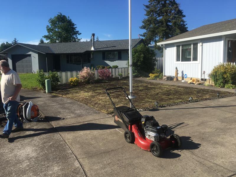 Thatched lawn then reseeded