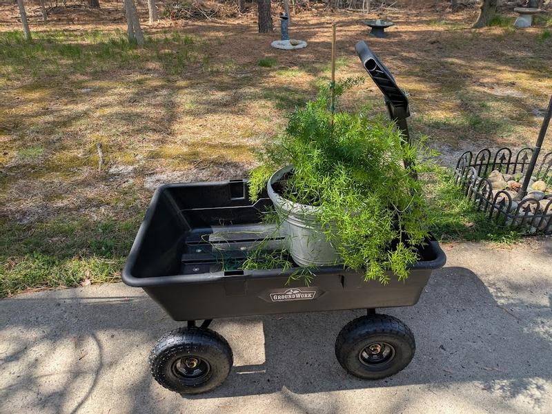 Great Cart