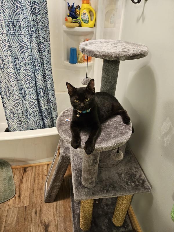 Already enjoying the perch