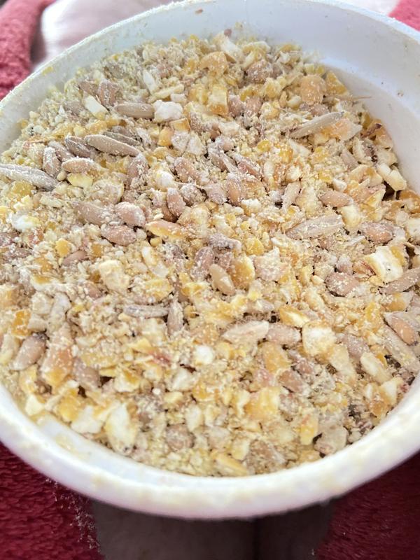 top off grain looks much better than poured out powder