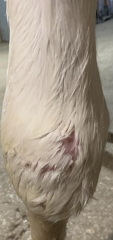 The hair loss
