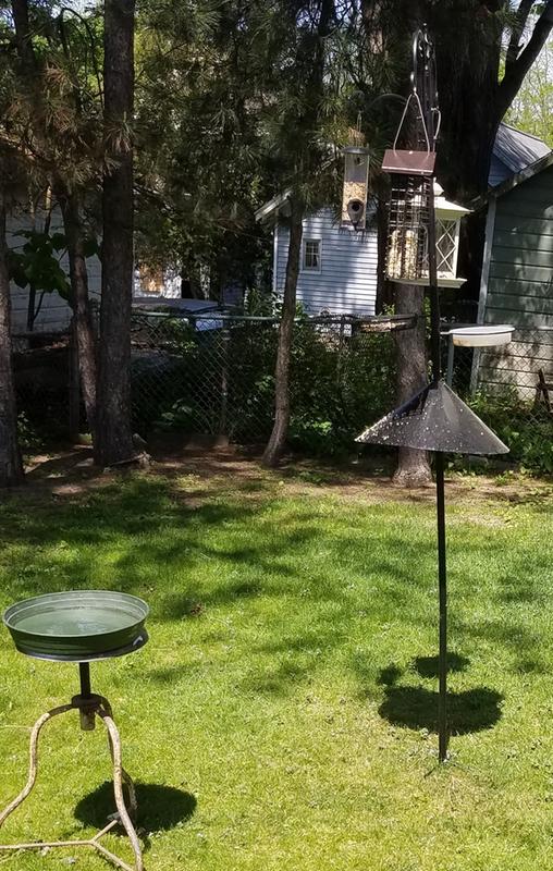 Squirrel baffle