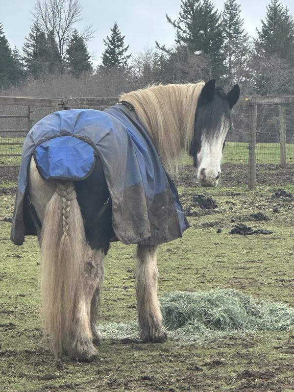 1 month after putting it on